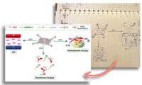 RNA sensor illustration