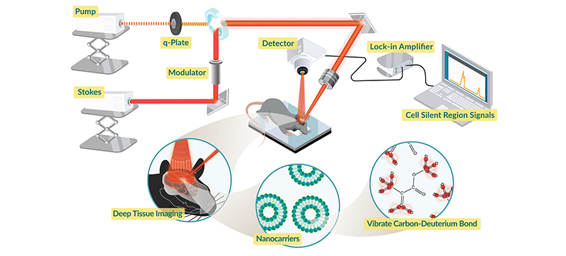 Scientific illustration 2D