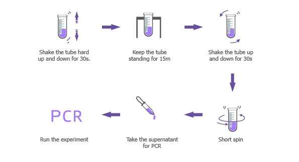 science brochure process