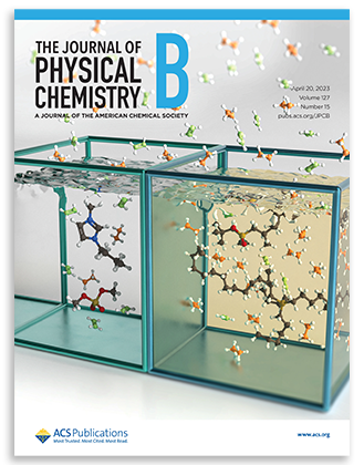 J physical chemistry B cover art