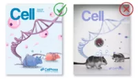 Criteria for selecting scientific cover artwork by editors