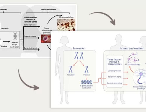 The importance and process of redesigning a graphical abstract