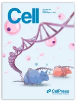 Cell journal cover -DNA