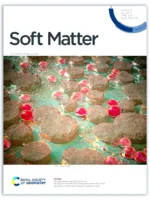 RSC Soft Matter Cover