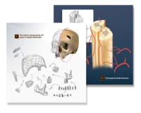 steps of ordering scientific illustrations