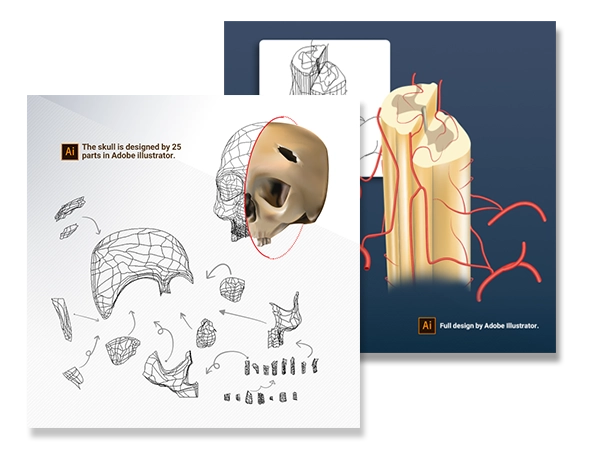 steps of ordering scientific illustrations