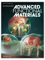 Advanced Functionals Materials Cell Electrode