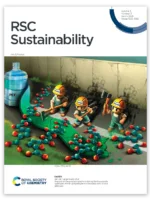 RSC Sustainability Cover 2024