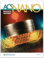 ACS Nano Journal Cover 2025