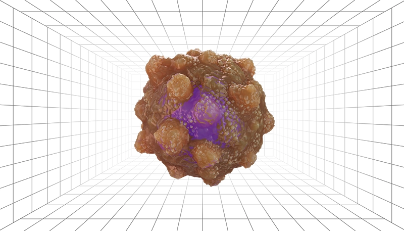 Cancer Cell Illustrations Nucleus and Shape