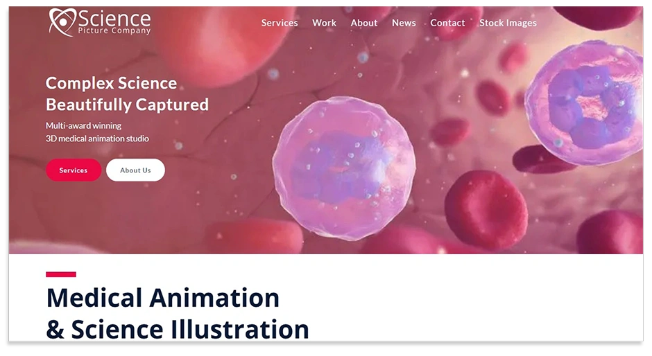 Science Picture studios for journal covers