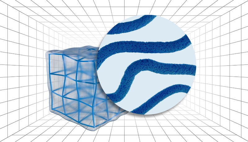 hydrogel illustration Zoomed-in views