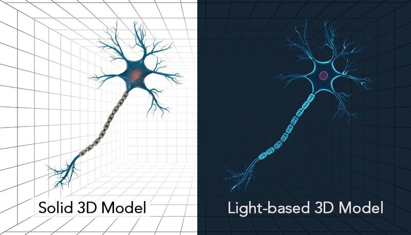 Nervous System colors