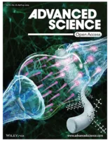 Nervous system illustration Advanced Science