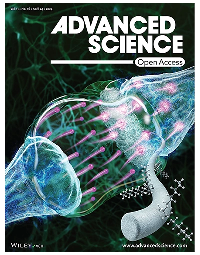 Nervous system illustration Advanced Science