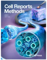 Nervous system illustration Cell Journal