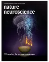 Nervous system illustration Nature Neuroscience