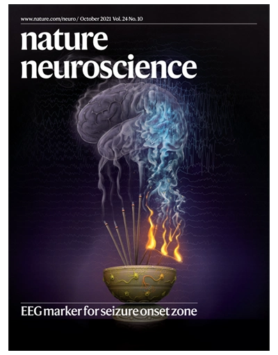 Nervous system illustration Nature Neuroscience