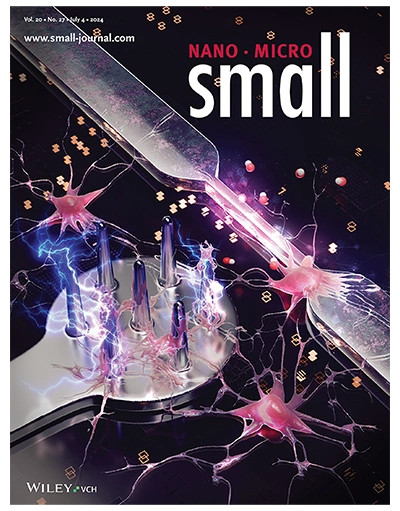 Nervous system illustration Small Journal