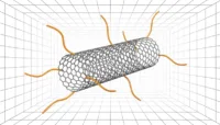 Functionalized Carbon Nanotubes 3D model