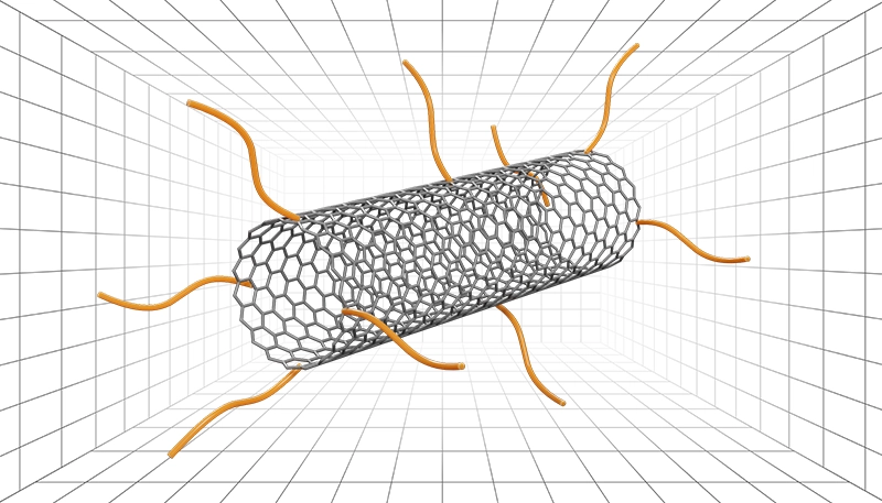 Functionalized Carbon Nanotubes 3D model