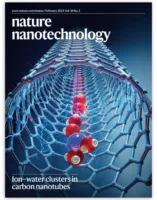 Nature Nanotechnology nanotube cover