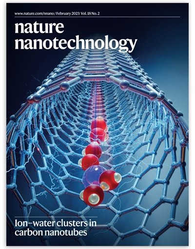 Nature Nanotechnology nanotube cover