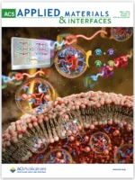 ACS AMI 2026 Cell membrane