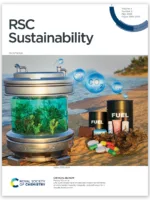 RSC Sustainability Cover