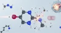 Animation Scientific Illustration for Education