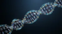 DNA Scientific Illustration for Education